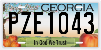GA license plate PZE1043