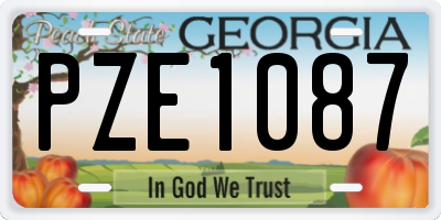 GA license plate PZE1087