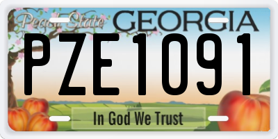 GA license plate PZE1091