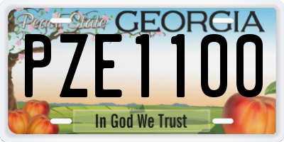 GA license plate PZE1100