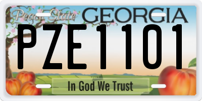 GA license plate PZE1101
