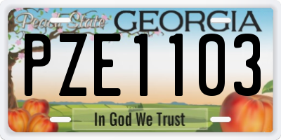 GA license plate PZE1103