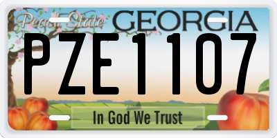 GA license plate PZE1107