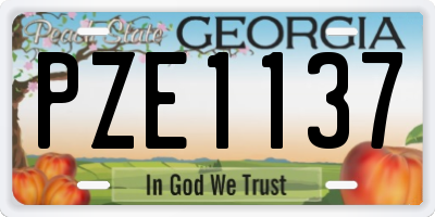 GA license plate PZE1137
