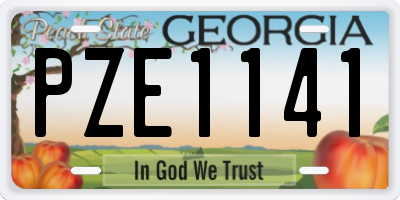 GA license plate PZE1141