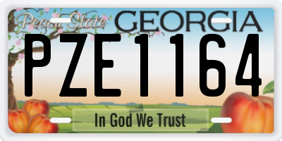 GA license plate PZE1164