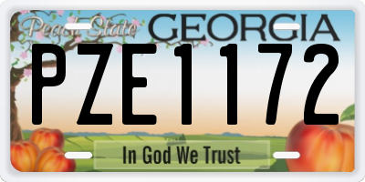 GA license plate PZE1172