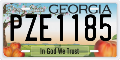GA license plate PZE1185