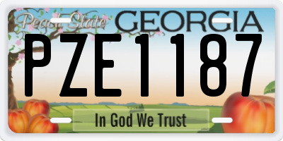 GA license plate PZE1187