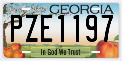 GA license plate PZE1197