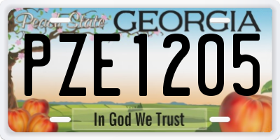 GA license plate PZE1205