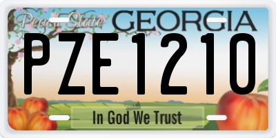 GA license plate PZE1210