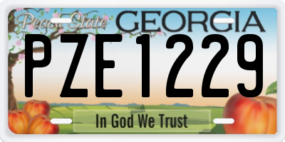 GA license plate PZE1229