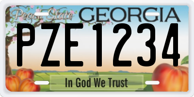 GA license plate PZE1234