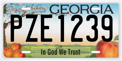 GA license plate PZE1239