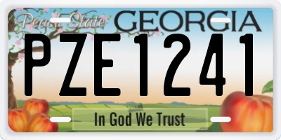 GA license plate PZE1241