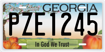 GA license plate PZE1245