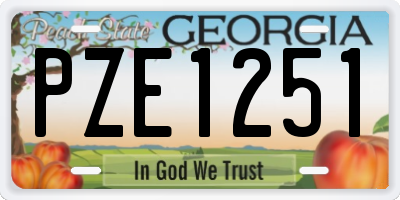 GA license plate PZE1251