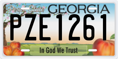 GA license plate PZE1261