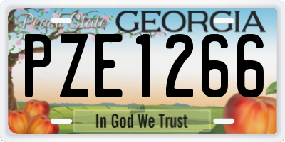 GA license plate PZE1266