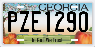 GA license plate PZE1290