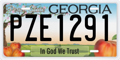 GA license plate PZE1291