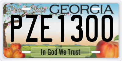 GA license plate PZE1300