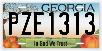 GA license plate PZE1313