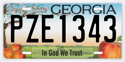 GA license plate PZE1343