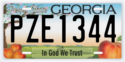 GA license plate PZE1344