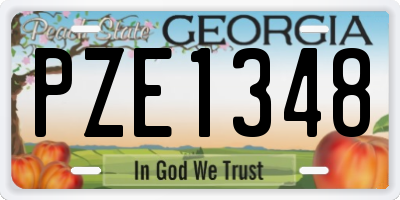 GA license plate PZE1348