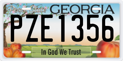 GA license plate PZE1356