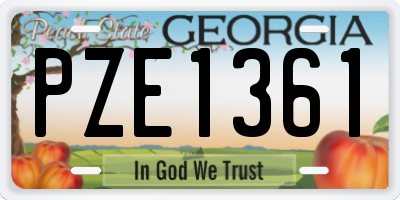 GA license plate PZE1361