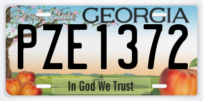 GA license plate PZE1372
