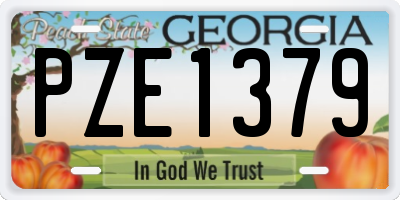 GA license plate PZE1379