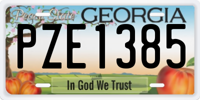 GA license plate PZE1385