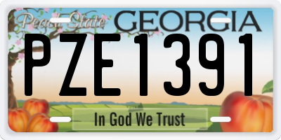 GA license plate PZE1391