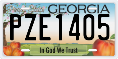 GA license plate PZE1405