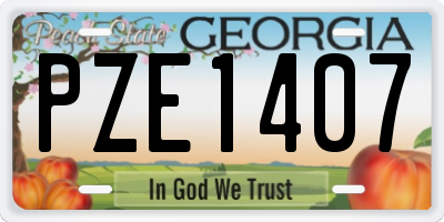 GA license plate PZE1407