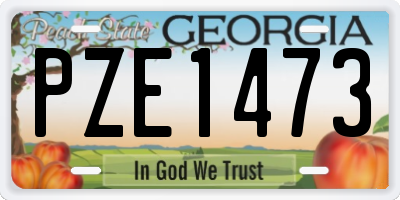 GA license plate PZE1473