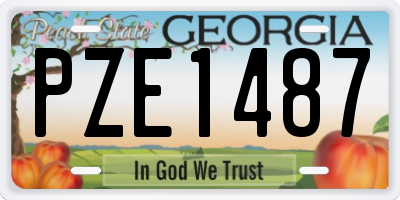 GA license plate PZE1487