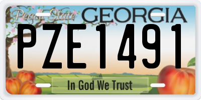 GA license plate PZE1491
