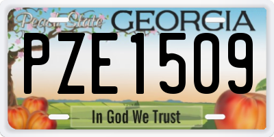 GA license plate PZE1509