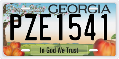 GA license plate PZE1541