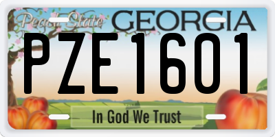 GA license plate PZE1601