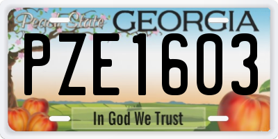 GA license plate PZE1603