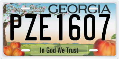 GA license plate PZE1607