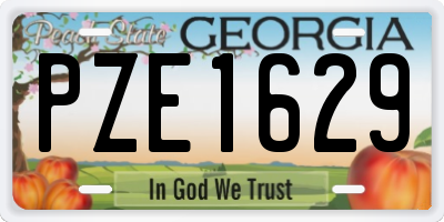 GA license plate PZE1629
