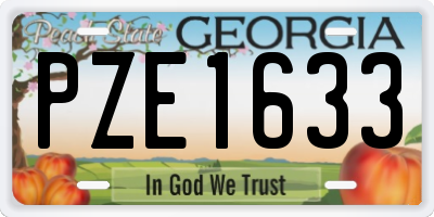 GA license plate PZE1633