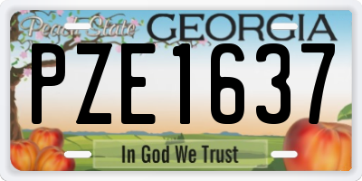 GA license plate PZE1637